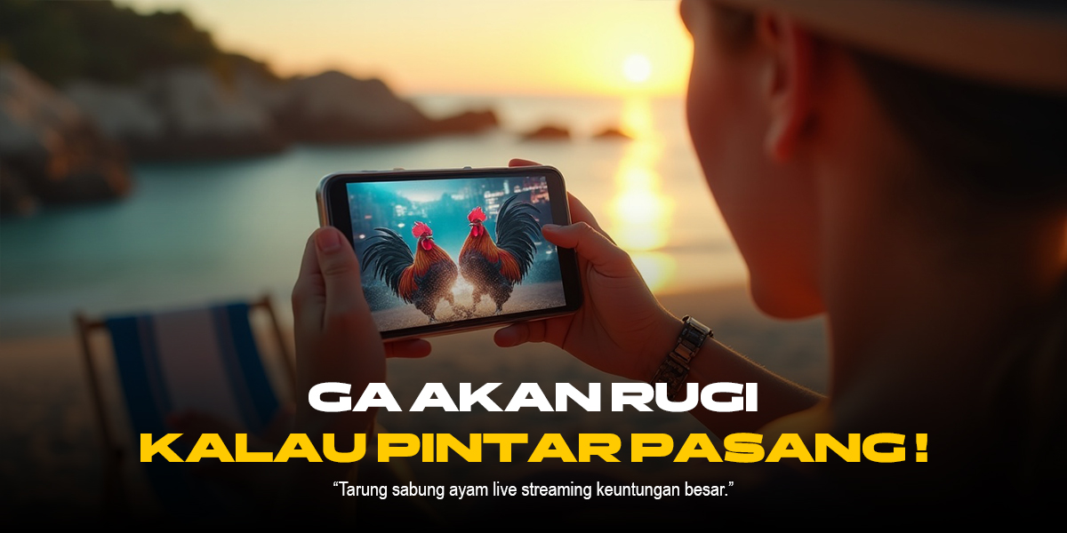 Mengungkap Dunia Sabung Ayam: Tradisi, Hukum, dan Kontroversi